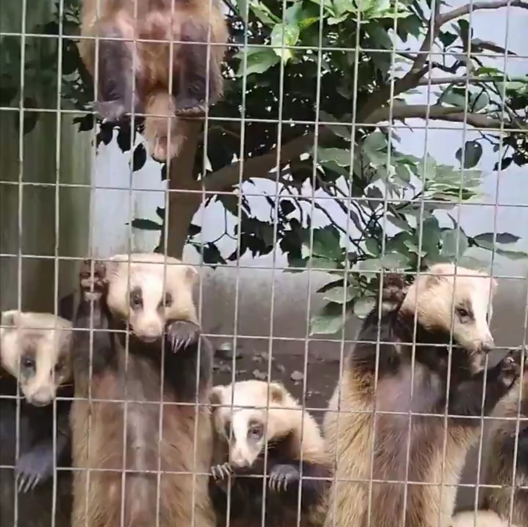危うく… | ロッツ株式会社